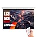 Produktbild celexon Professional Plus V2.0 Akku-Batterie-Leinwand 100" | 200x150 cm 4:3 | elektrisch betriebene 8K, Full-HD Beamer-Leinwand mit Kabel zum Aufladen, inkl. Fernbedienung | zur Decken- & Wandmontage