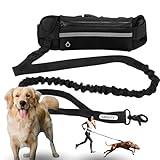 GRANTY Correa Perro Cintura - Correas para Perros Correr- Correa Manos Libres Perro 160-220cm - Correa para Correr con Perros Running