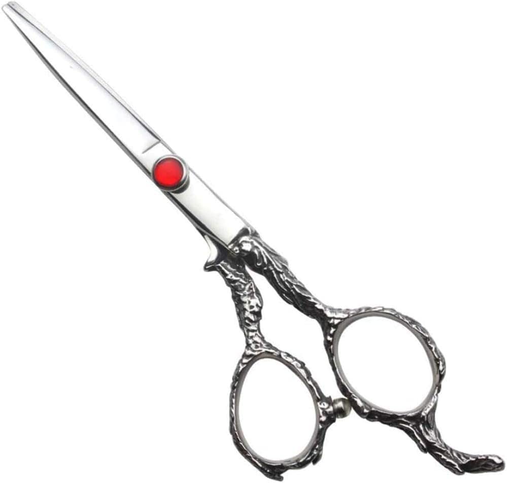 Ciseaux de coiffeur 6.0 pouces et kit de coiffure familial complet