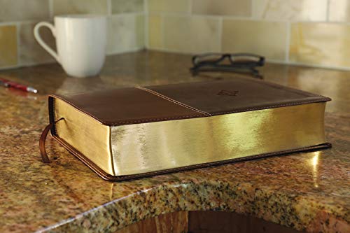 The Amplified Study Bible, Leathersoft, Brown