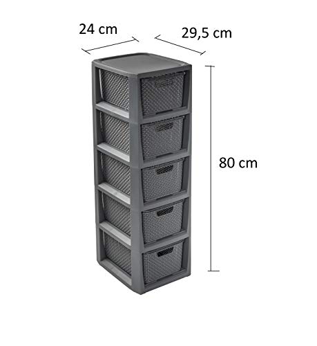 BranQ - Home essential Rek in rotan design, BPA-vrije kunststof PP, antraciet, 29,5 x 24 x 80 cm, 5 manden - Image 3