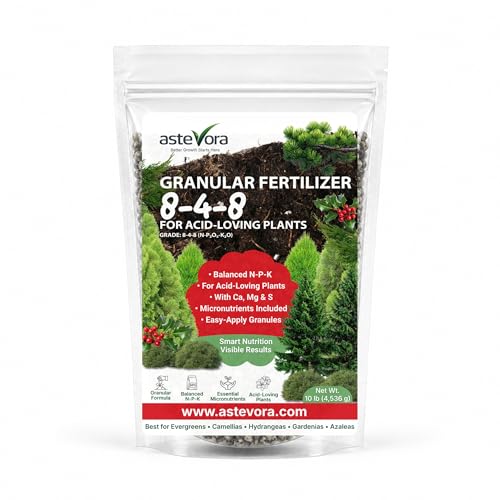 GARDENWISE Evergreen Fertilizer