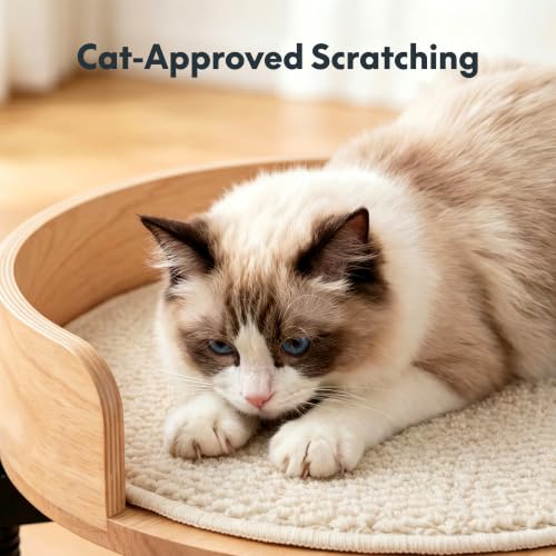 Image of FLEXISPOT EN2 55 inch x 28 inch Standing Desk with Solid Wood Cat Bed Bundle, 1 inch Thick Desktop, Desk-Mounted Cat Perch with Scratcher, Maple
