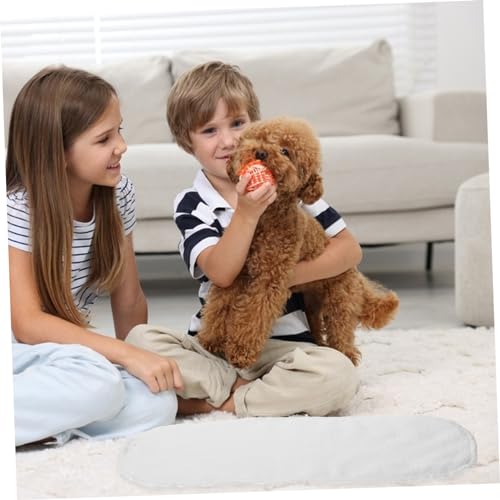 POPETPOP 30 Peças Almofada Fralda Para Cachorro Almofada Fralda Para Cachorro Almofada Fralda Para M