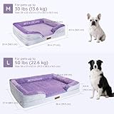 BELLA & PAL Orthopädisches Hundebett, 71x59 cm Ergonomisches Hundesofa für kleine/mittlere Hunde-Ohne Montage, Eierschaum | wasserdichter Einlage | Flanell Abnehmbarer Bezug | Rutschfester Boden, Lila