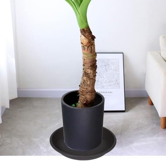 Miniatura 5 de Platillo Bandeja para Macetas de 6, 8, 10, 12, 14, 16, 19, 20 Pulgadas Platillos de Plástico para Macetas de Flores y Bandejas de Goteo para