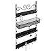 Wall Mounted Black Metal 18 Hook Hanging Jewelry, Earrings, Rings, Necklaces, Bracelets Organizer Rack