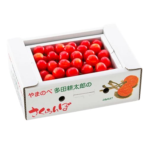 [先行予約]2026年 山形県産 佐藤錦 バラ詰め(パック)500g やまのべ多田耕太郎のさくらんぼ サクランボ F20A-038