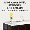 Pledge Granite & Stone Cleaner, Expert Care, Aerosol, Orange Scent, 9.7 oz.