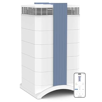 best air purifier for chemical sensitivity