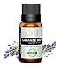 Huile Essentielle lavande Aspic - 100% pure et naturelle - HEBBD - Green-storm - 10 ML