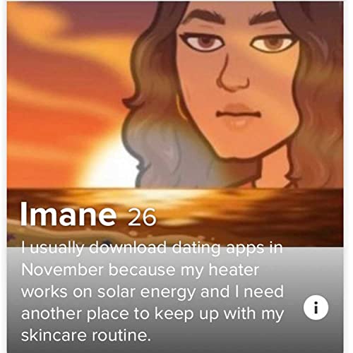 VIP: Very Important Playgirl Titelbild