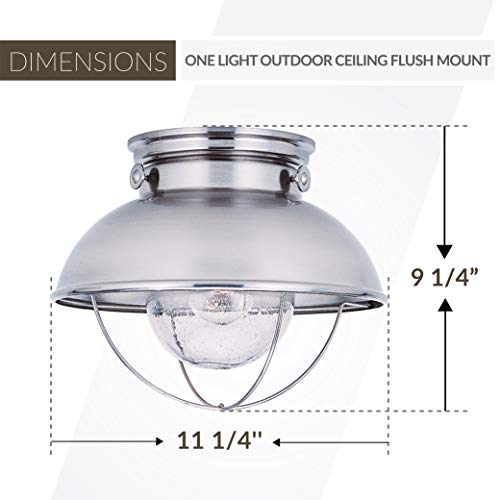 Sea Gull Lighting 8869-98 Sebring Transitional One-Light Outdoor Ceiling Flush Mount Outside Fixture, Brushed Stainless Finish #TOP2