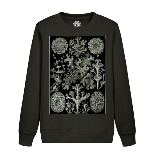 Sweatshirt enfant planche de lichen gravure ancienne dessin biologie en coton bio