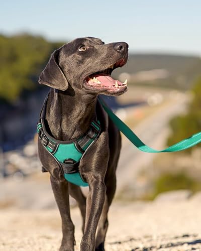Joytale Hundegeschirr mittelgroße Hunde, reflektierendes Geschirr Hund,luftdurchlässige Hundegeschirr, verstellbares Brustgeschirr mit Griff beim Führen und Training, Türkis, M