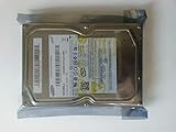  IBM 300 GB SATA Spinpoint T133 3Gb/s interne Festplatte