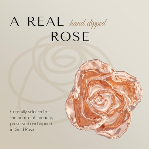 Image of Forever Rose Real Rose Dipped in Rose Gold, Bloom Box and Phantom Vase