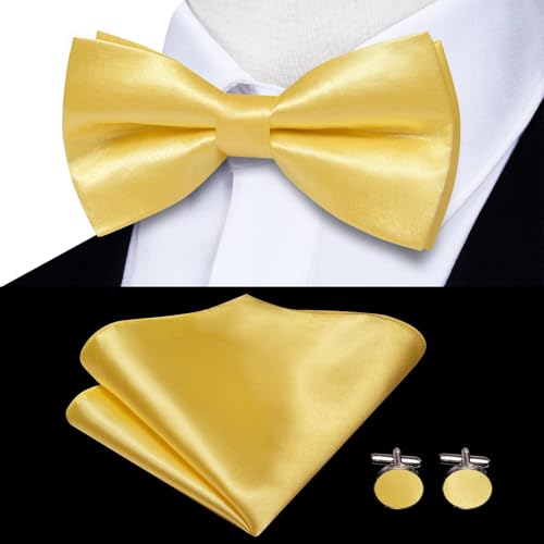 Image of Hi-Tie Men Suspender Bowtie Set Suspenders Pre-tied Bow Tie Pocket Square Cufflinks Adjustable Y Shape 6 Clips Braces Tuxedo