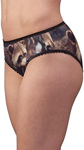 North American Raccoon Panties, North American Raccoon Underwear, Briefs, Cotton Briefs, Funny Underwear, Panties For Women
