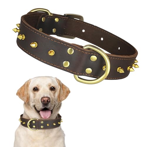 Qianruida Collare per cani in pelle con borchie, anti-morso, regolabile, con fibbia in metallo, per razze piccole, medie e grandi - XL
