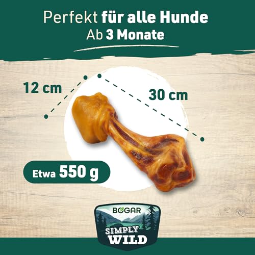 Bogar - Simply Wild - Hundeknochen – Hundefutter als Ergänzung zur täglichen Ernährung – Hundeleckerli in Form eines getrockneten Mega-Schweineknochens – Unterstützt die Hundepflege & Zahngesundheit