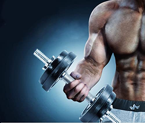 Konark 14 Inch Dumbbell Bar with Star Nut - Image 6
