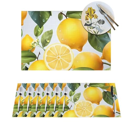 Sets de table PVC tissé résistant à la chaleur lavables pour décoration table cuisine rectangulaire