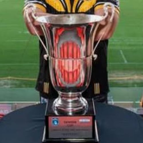 Page de couverture de The two teams playing the Newcastle Rugby League grand final have decided