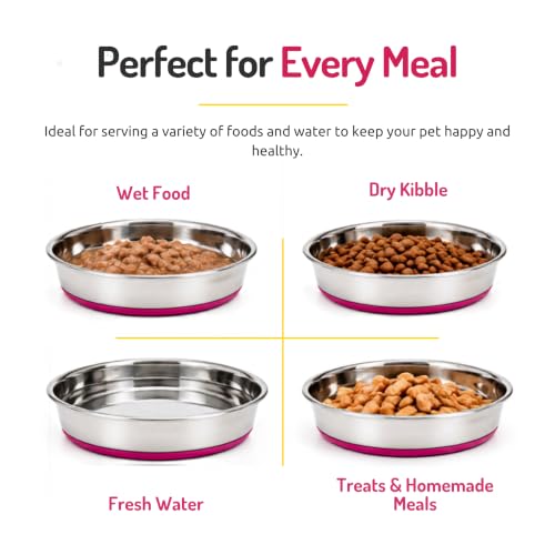 Image of Pet Empire Stainless Steel Cat Silicone Base Bowl for Cats & Puppies | Bowl for Water and Food (200 ML)