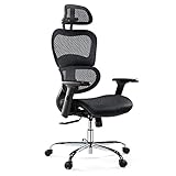 AFO Ergonomic Office Headrests and 3D Armrests Lumbar Support, High Back Executive Chairs Adjustable Rolling, Tilt Function, 28.1D x 26.5W x 48.03H Inch, Dark Black