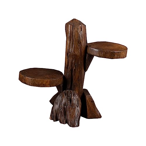 Porte-plantes succulentes intérieur et étagère à mini bonsaï de table - 2