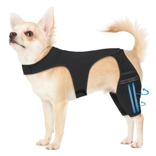 Dog Knee Brace for Torn Acl Hind Leg - Dog Leg Brace to Reduce Pain, Stabilize Joints for Active Dogs - Heavy Duty Adjustable Splint for Walking, Running, Playing Outdoors