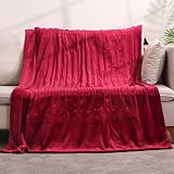 Electric Heated Blanket Throw 50”×60“ Fast Heating Blanket for Whole Body Warming with 4 Heating Lev