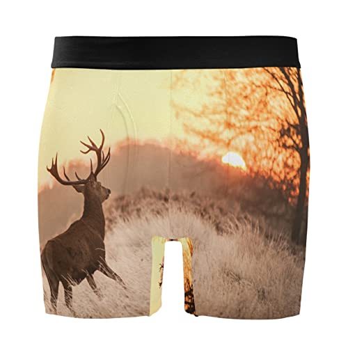Bóxer de hombre Vnurnrn para el día a día calzoncillos cómodos con estampado de naturaleza