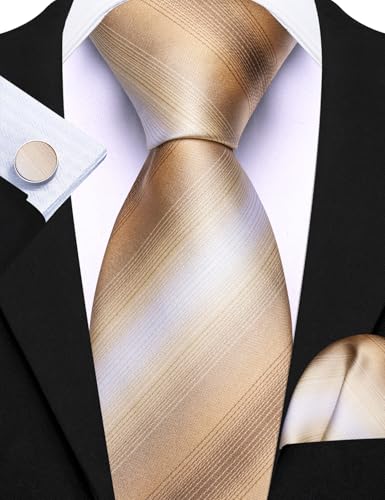Image of Barry.Wang 6 PCS Men Ties Set Silk Business Fashion Woven Necktie Handkerchief Cufflinks Paisley Stripe Wedding Party