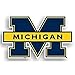 NCAA Michigan Wolverines 12-Inch Magnet