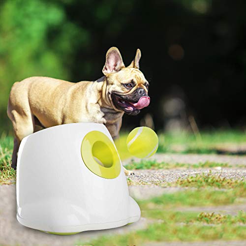 automatic dog ball thrower