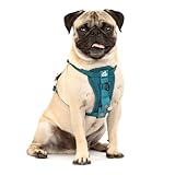 Kurgo Enhanced Strength Tru-Fit Dog Car Harness - Pet Travel Safety Harness - Crash Test Certified Fit - Five Point Adjustment - Secure Buckle - Padded Chest - Ink Blue - Small