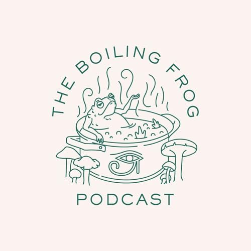 The Boiling Frog Podcast cover art