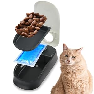 PAWISE Automatic Pet Feeder for Dogs and Cats, 1.5 Cup Food Dispenser Feeder with 48-Hour Timer – Single