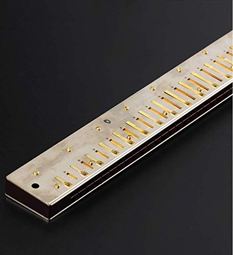 Swan Harmonica diatonique à 28 trous en Do avec harmonicas standard pour adultes, joueurs professionnels, débutants et… - Les Beatles, Paul McCartney, John Lennon, RIngo Starr, George Harrison Swan Harmonica diatonique à 28 trous en Do avec harmonicas standard pour adultes, joueurs professionnels, débutants et… – Image 7