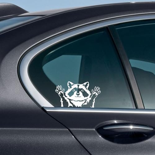 Image of WIRESTER 6 inch Clear Vinyl Decal Sticker Decoration for Car Window (Or Any Flat Surface) - Raccoon Hands Out