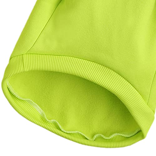 Image of Soft Puppy Sweater for Small Dogs Pullover, Light Green XL