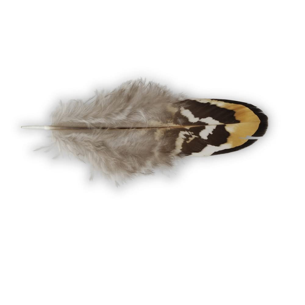 E+N Deko Vertriebs GmbHEaster Carnival Nest Feathers Natural Beige Brown with White Stripes Pack of 60 Length x Width Approx. 10.4 x 3-4 cm Natural Material