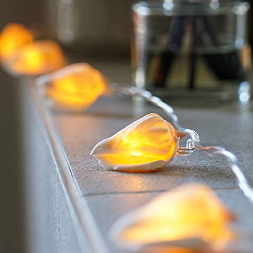 Festive Lights 1,5m batteriebetriebene Muschel Lichterkette mit 10 LEDs warmweiß echte Muscheln mit Timer Maritime Deko Lichterkette Nautische Deko Muschellampe Badezimmer Modern