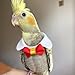 CXYYXF Bird Collar, Bird Clothes, Parrot Bird Supplies, Light Flying Clothes for Parakeets, Cockatiels, Conures, Lovebirds Cute Bow Tie Scarf (S)