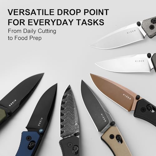 Image of Kizer Aegis EDC Pocket Knife, 2.8 inch AEB-L Steel Drop Point Folding Knife