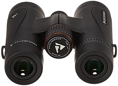 https://m.media-amazon.com/images/I/415+syOGJmL._SL500_.jpg