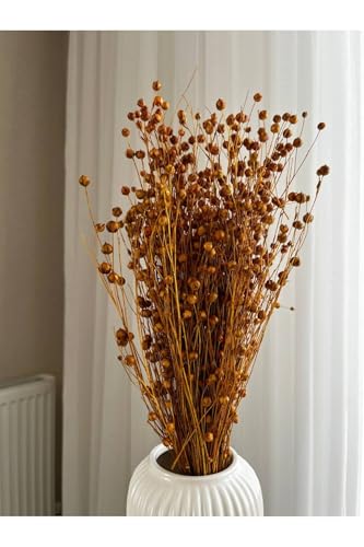 Flores secas luna amarilla para decoración miniatura 7