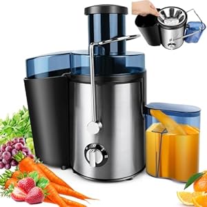 1000W Juicer Machine Whole Fruit and Vegetable Juice Extractor Stainless Steel, 500ML Capacity, 2 Speeds Adjustable